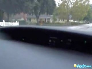 Rūdmataina emo automašīna driving oversexed